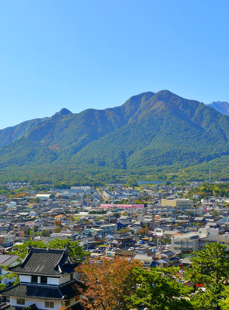 藤田屋本家
